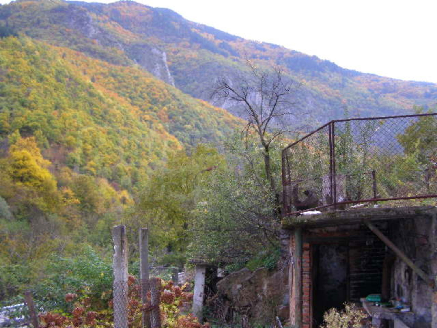Gallery Picture 14