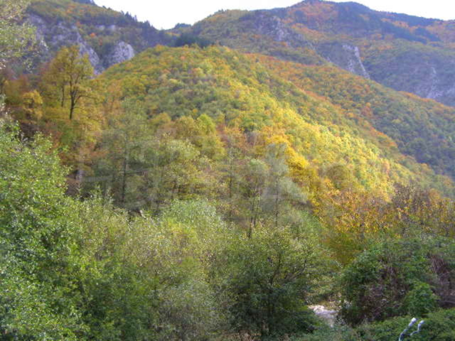 Gallery Picture 17