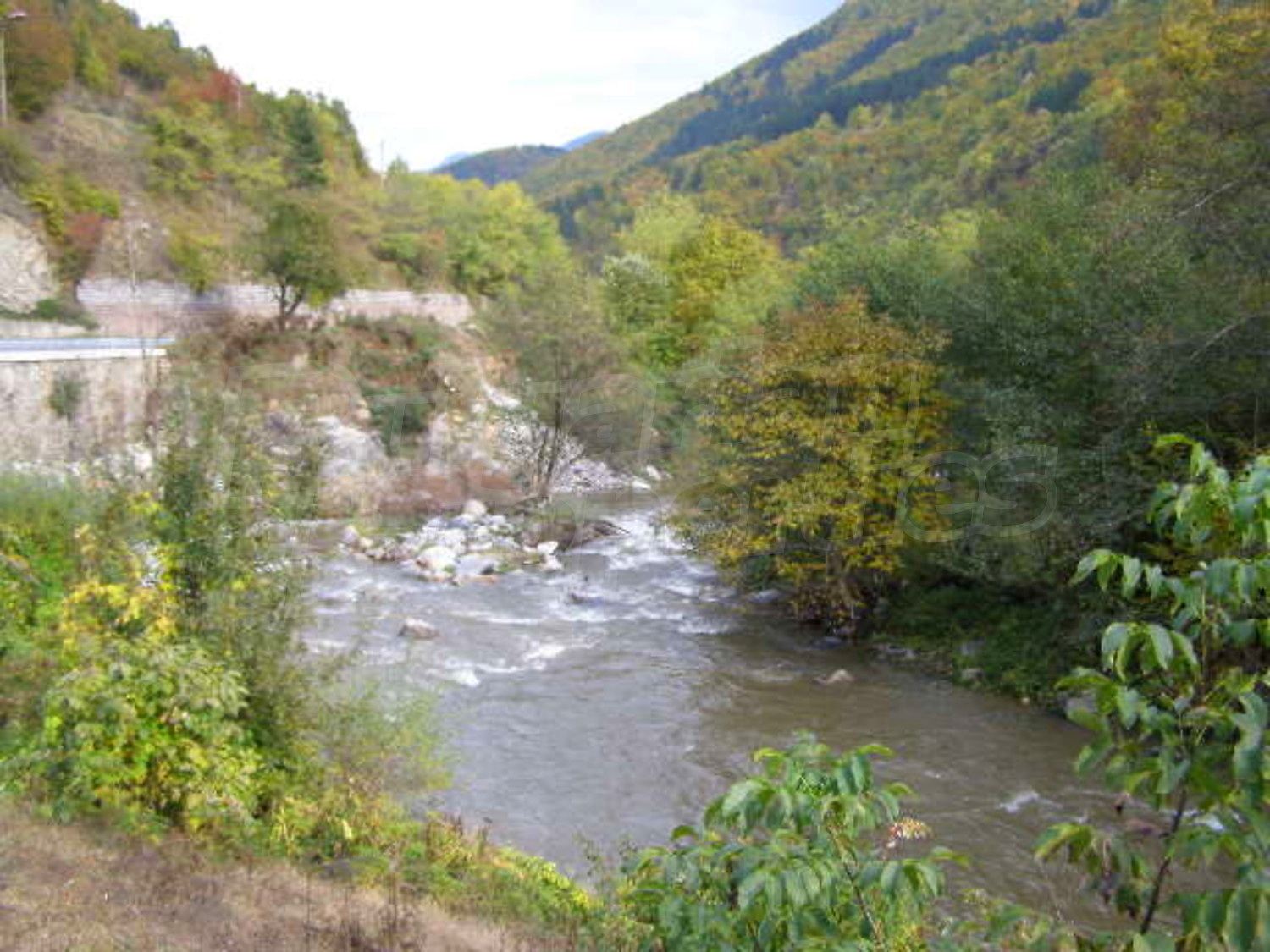Gallery Picture 18