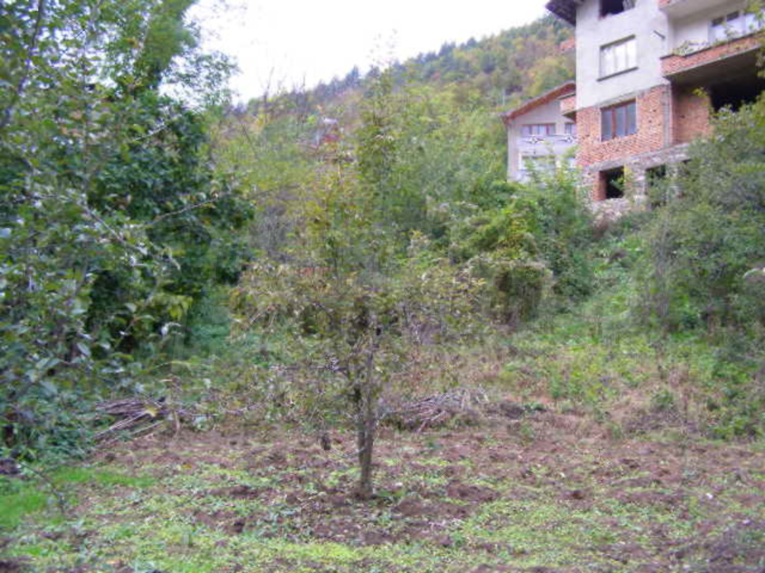 Gallery Picture 23