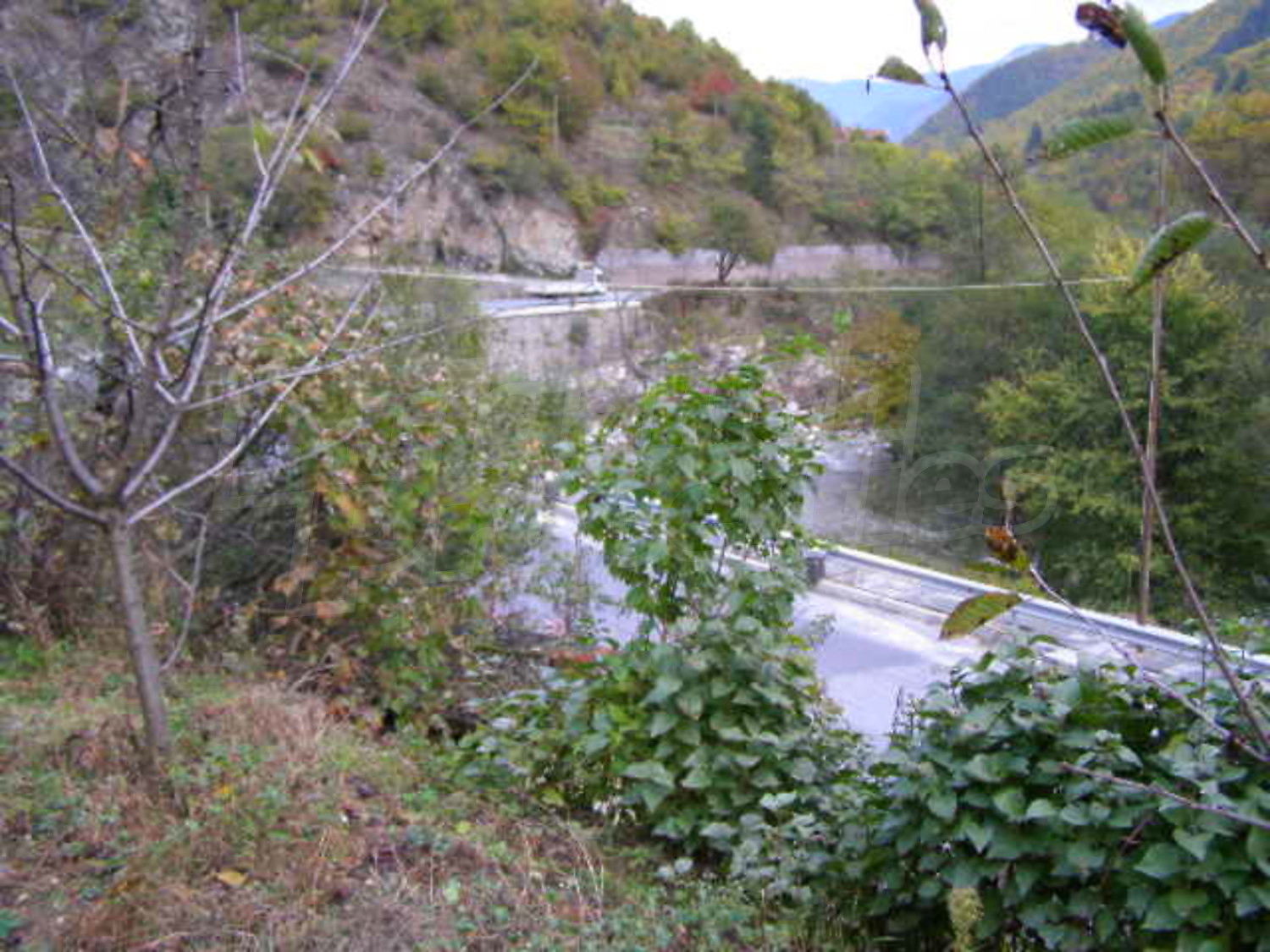 Gallery Picture 24