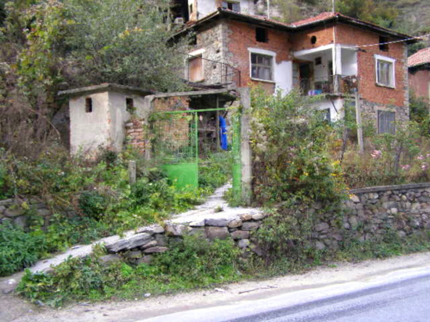 Gallery Picture 27