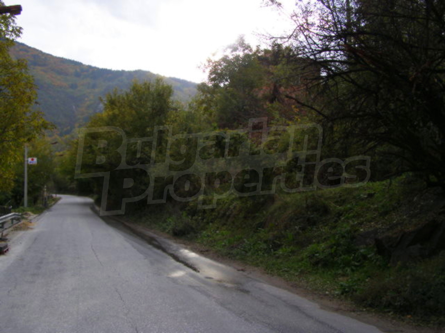 Gallery Picture 28