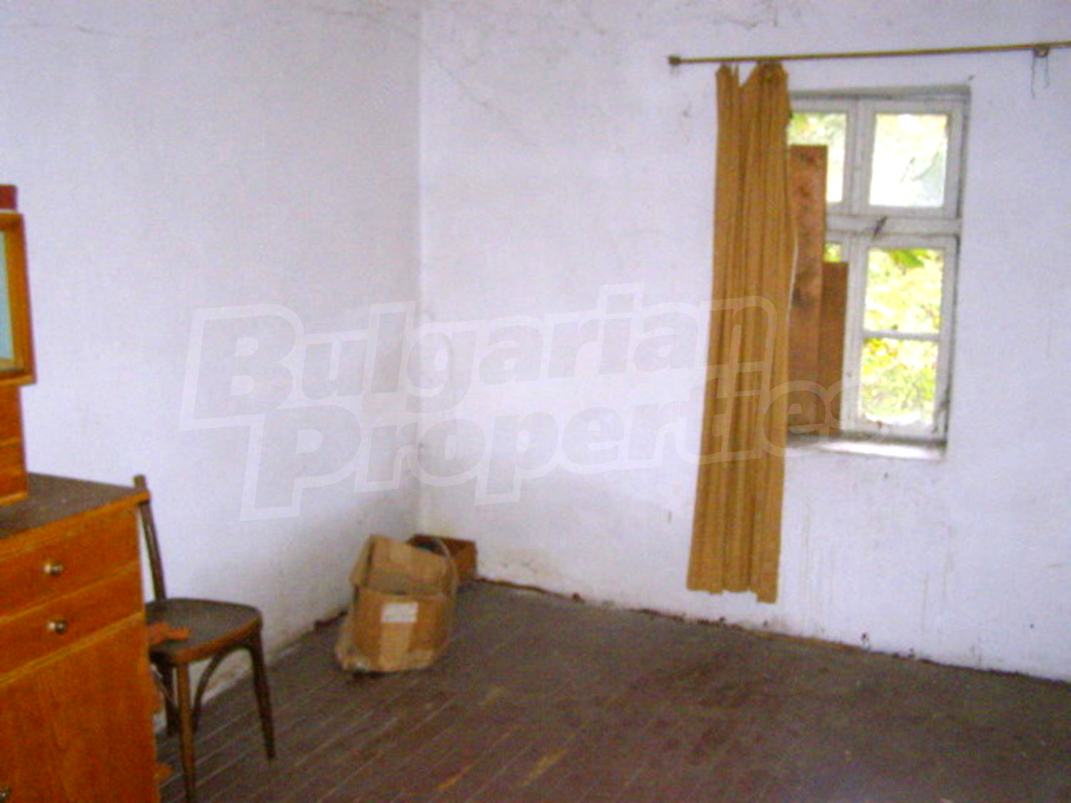 Gallery Picture 6