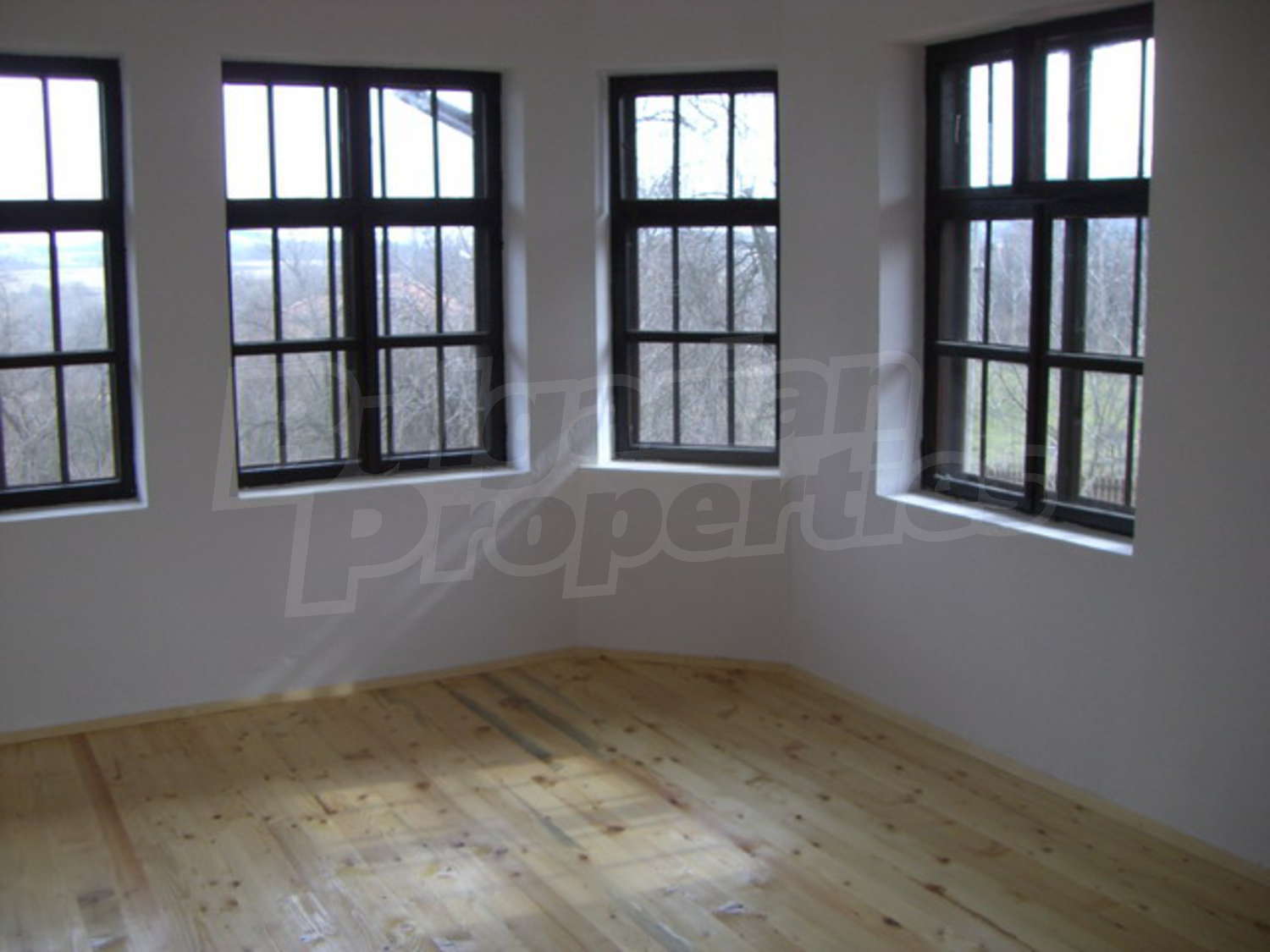 Gallery Picture 13