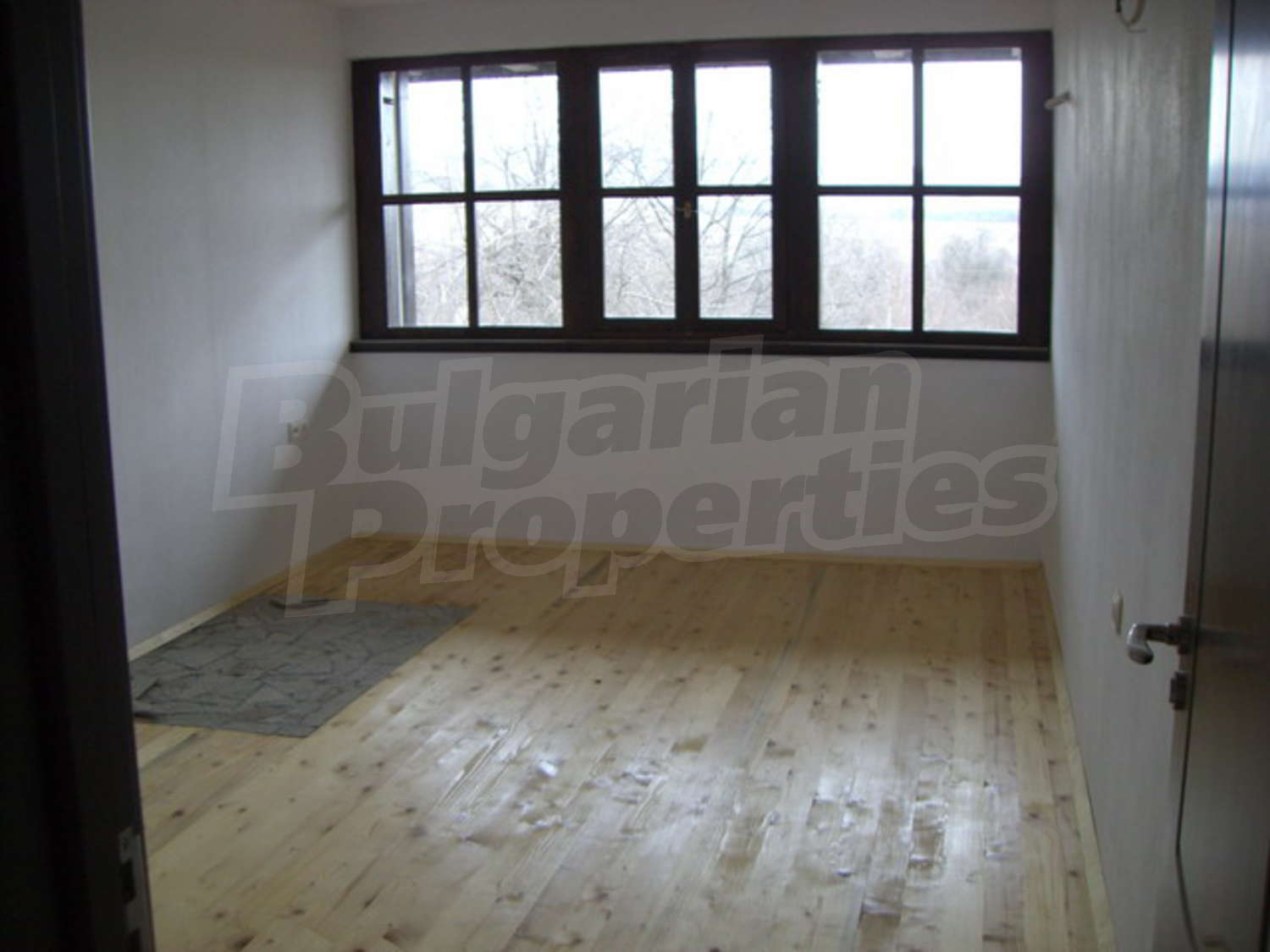Gallery Picture 16