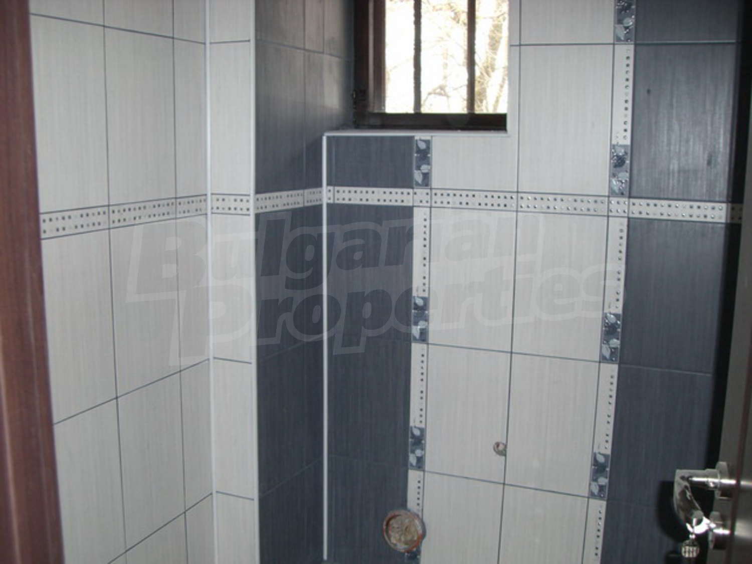 Gallery Picture 23