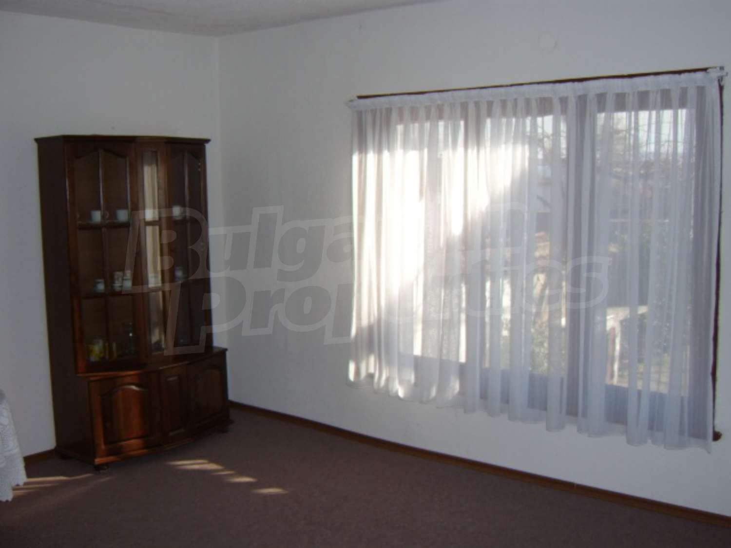 Gallery Picture 10