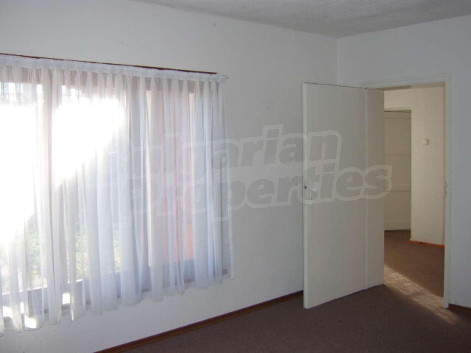 Gallery Picture 12