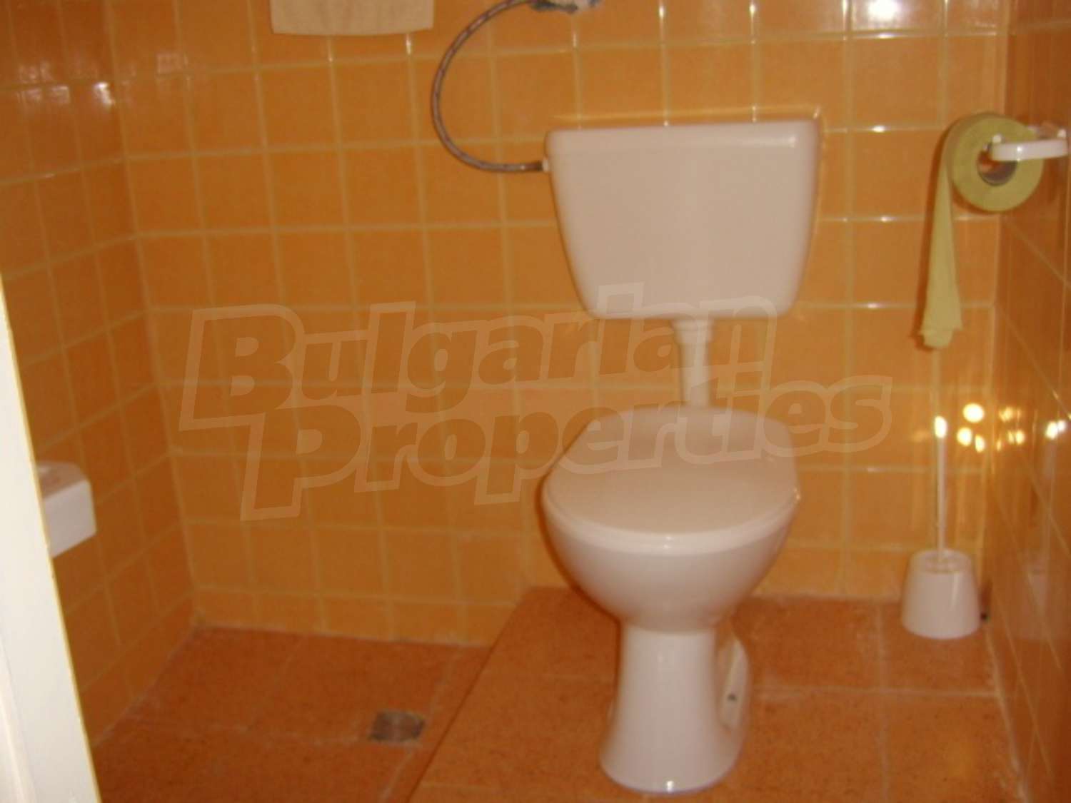 Gallery Picture 19