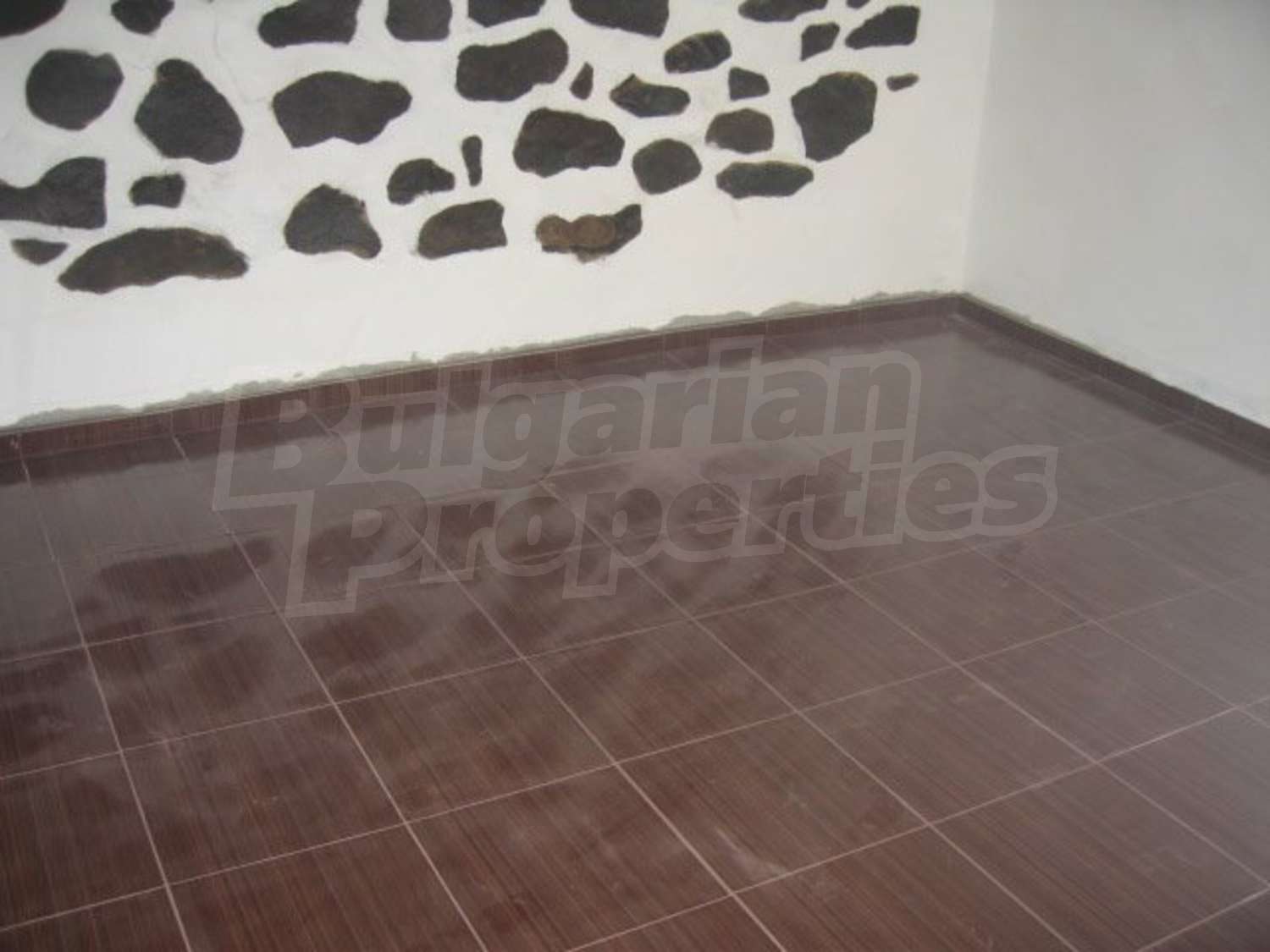 Gallery Picture 11
