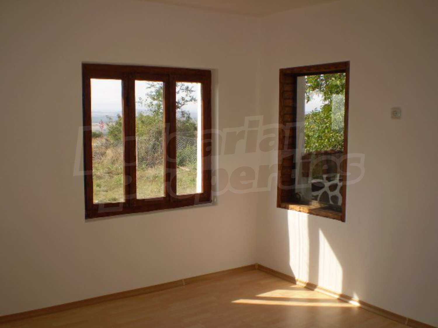 Gallery Picture 12