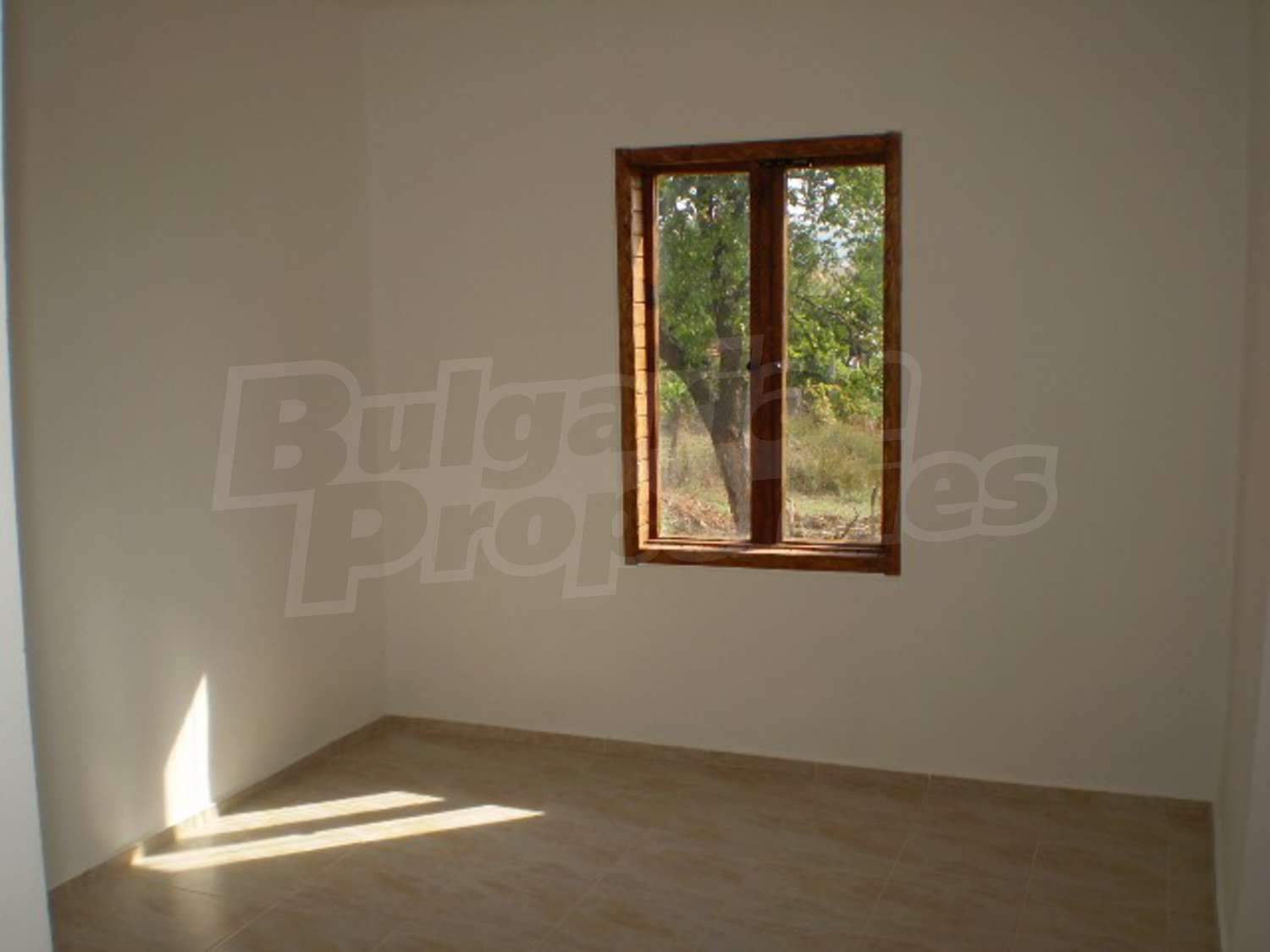 Gallery Picture 13