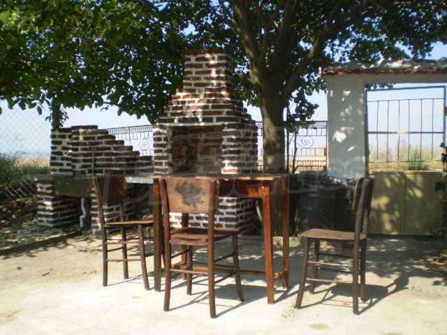 Gallery Picture 18