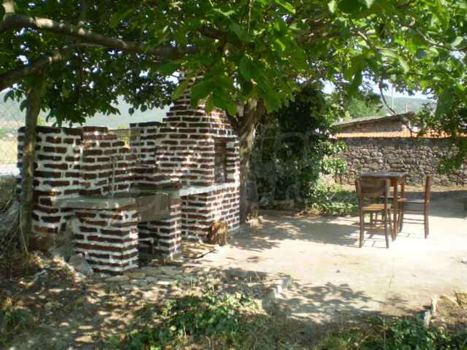 Gallery Picture 19