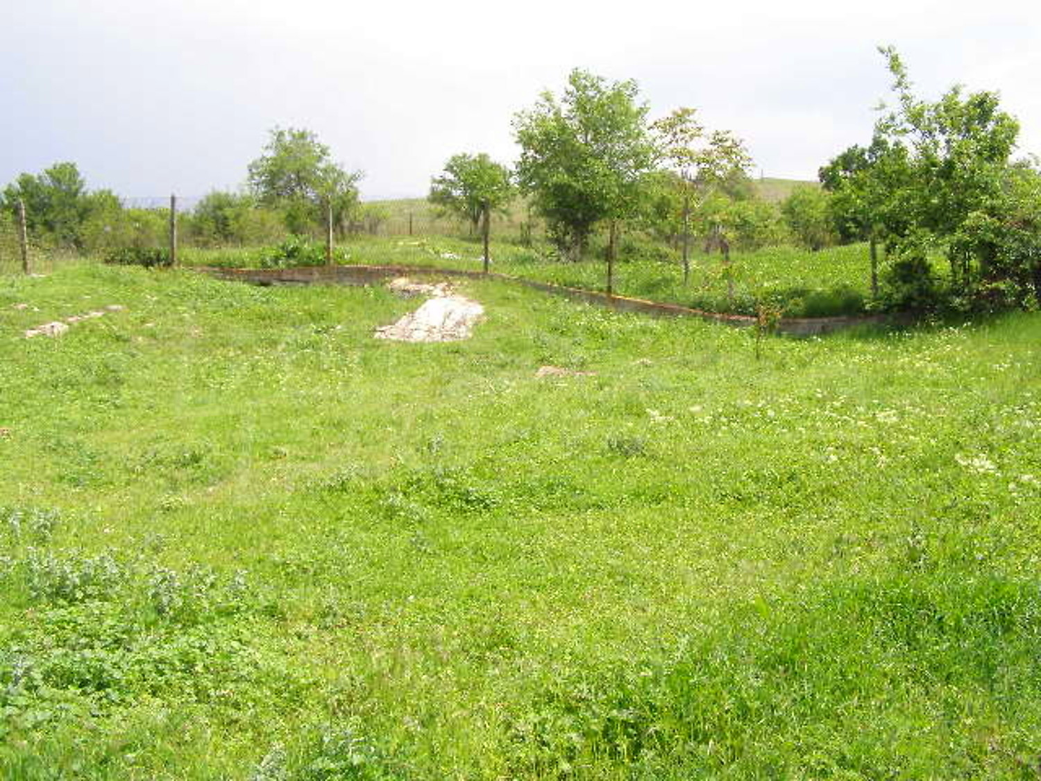 Gallery Picture 21