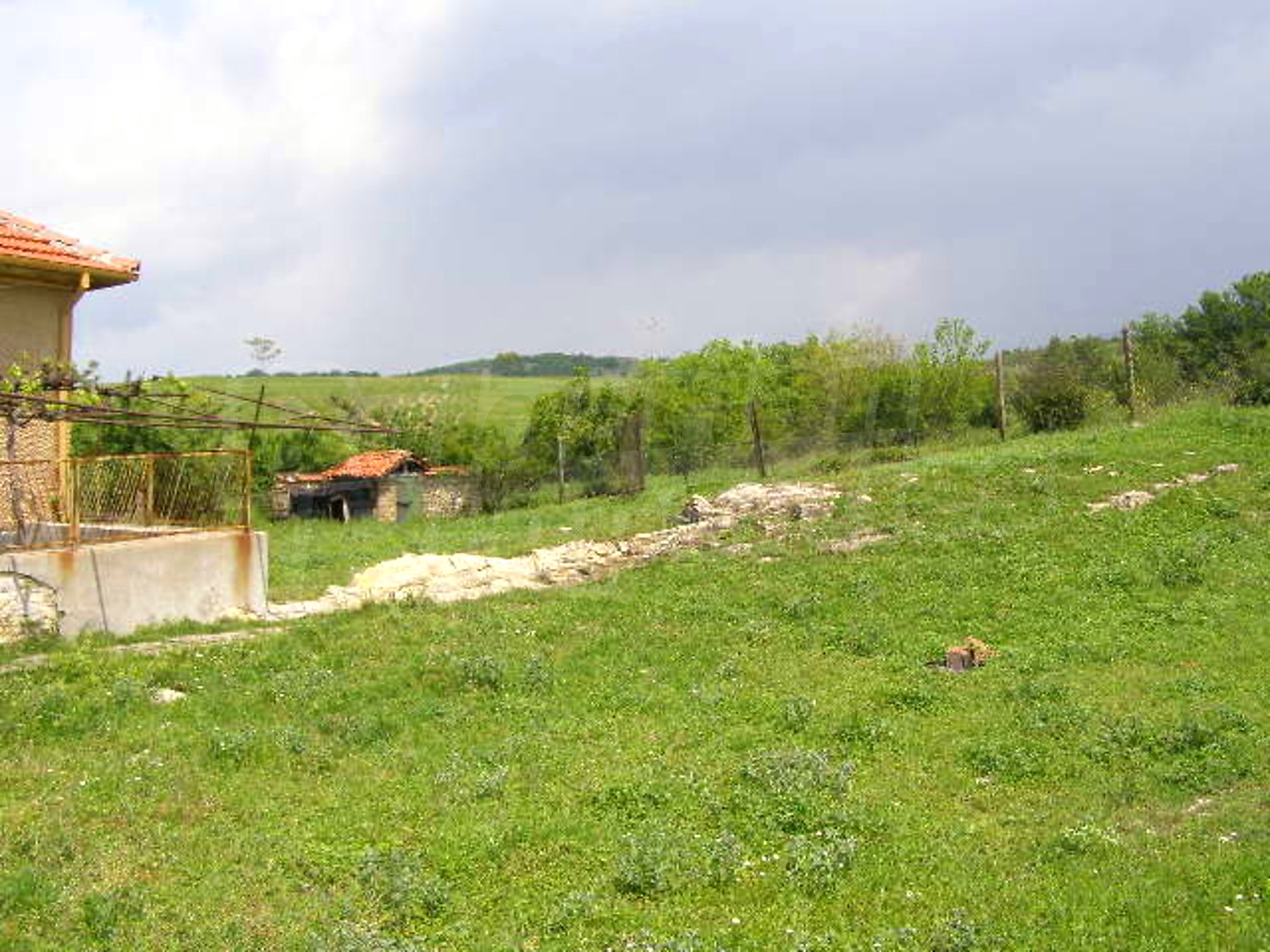 Gallery Picture 22