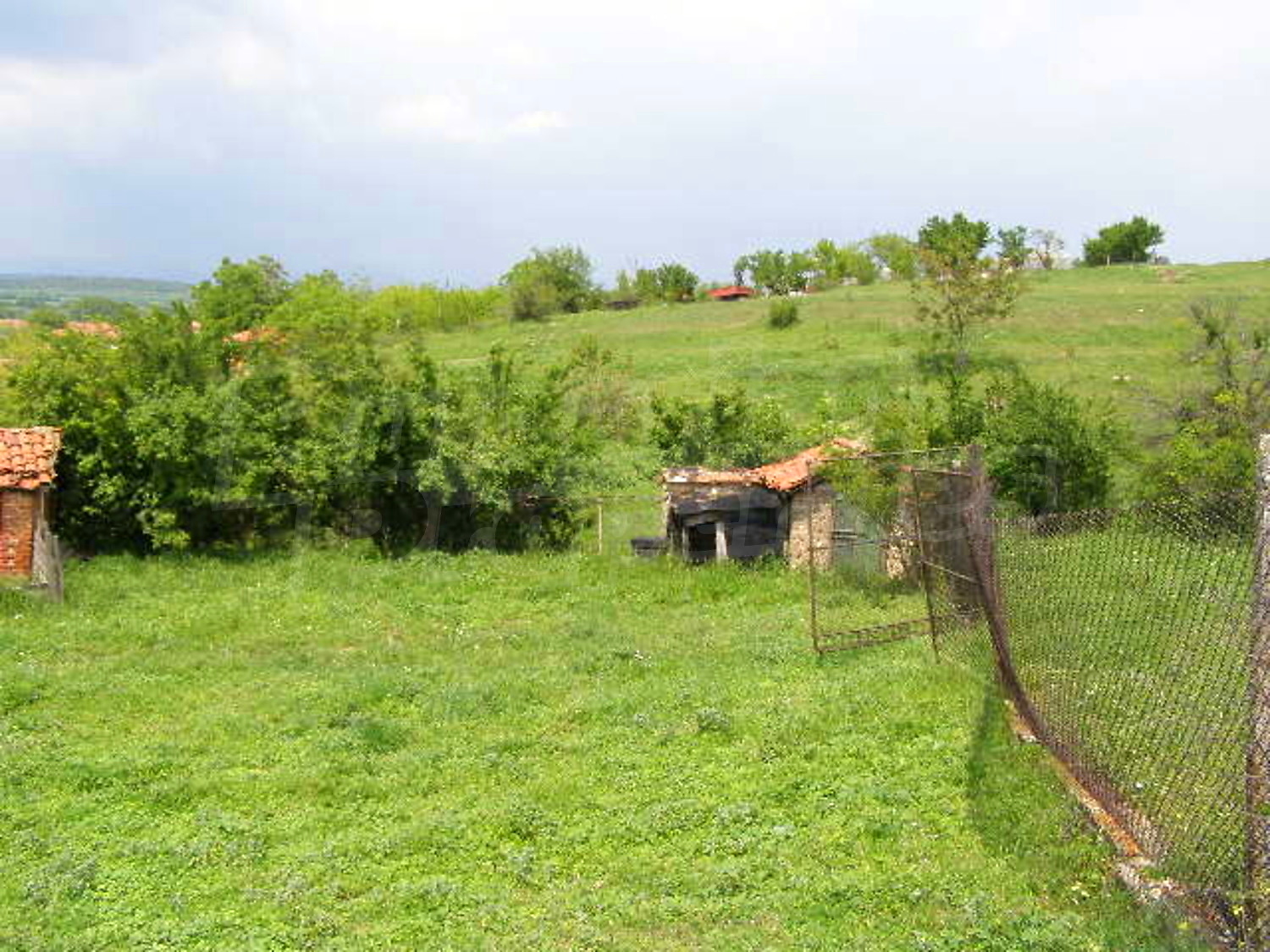 Gallery Picture 24