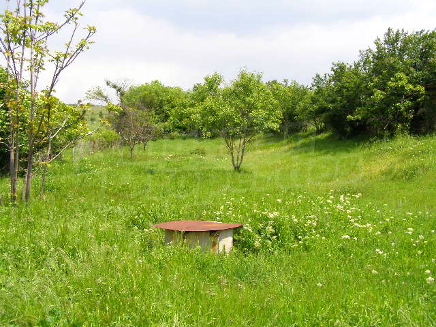 Gallery Picture 27