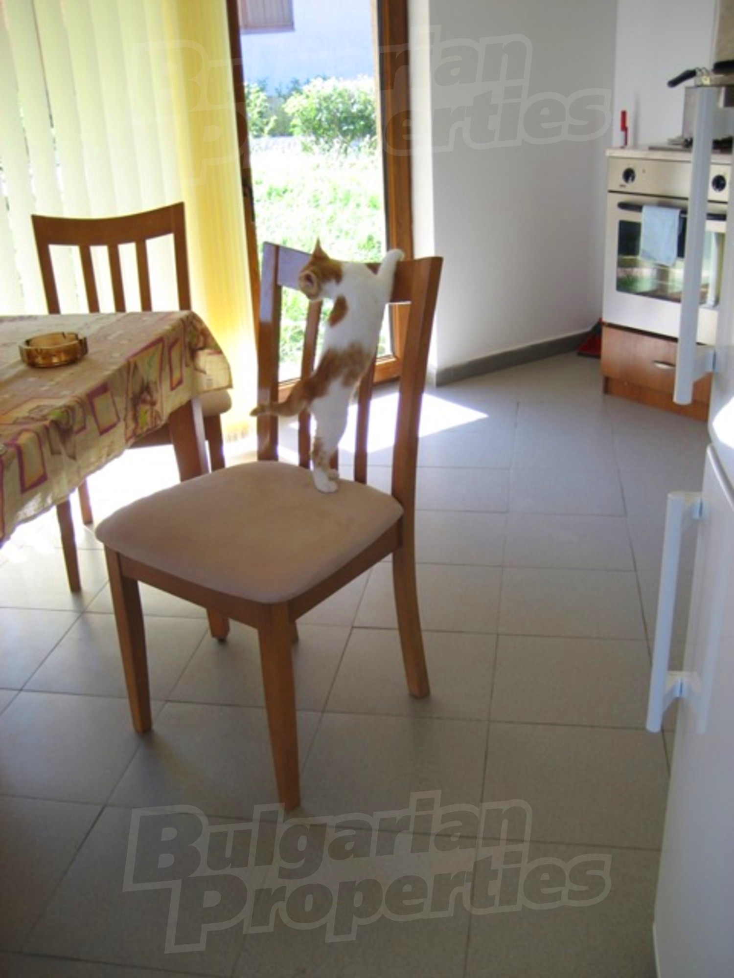 Gallery Picture 10