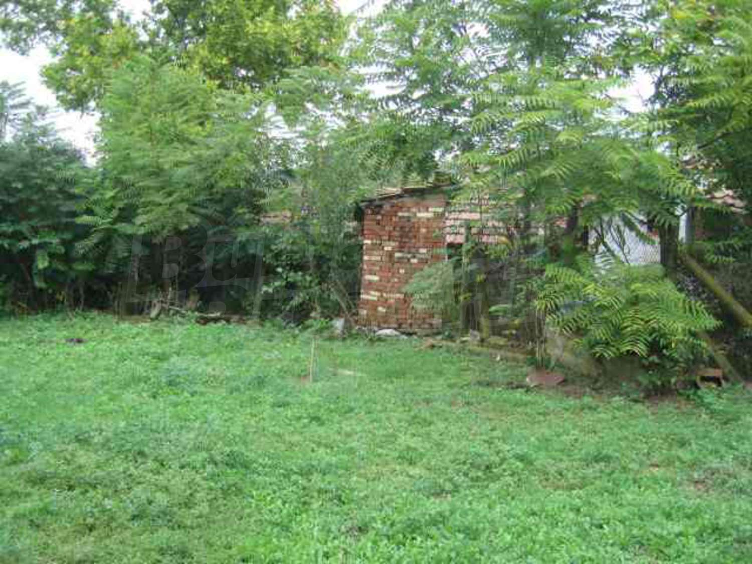 Gallery Picture 8
