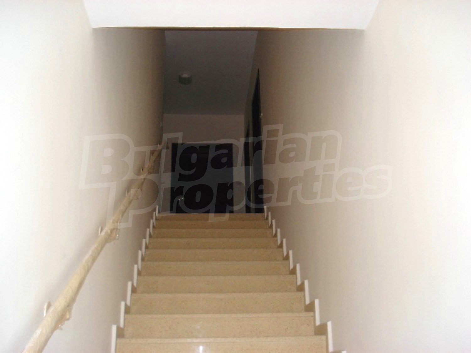 Gallery Picture 7