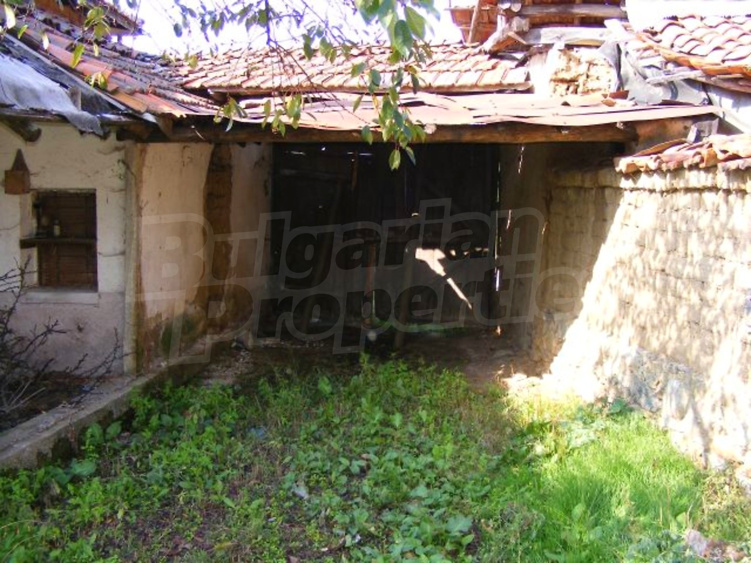 Gallery Picture 29