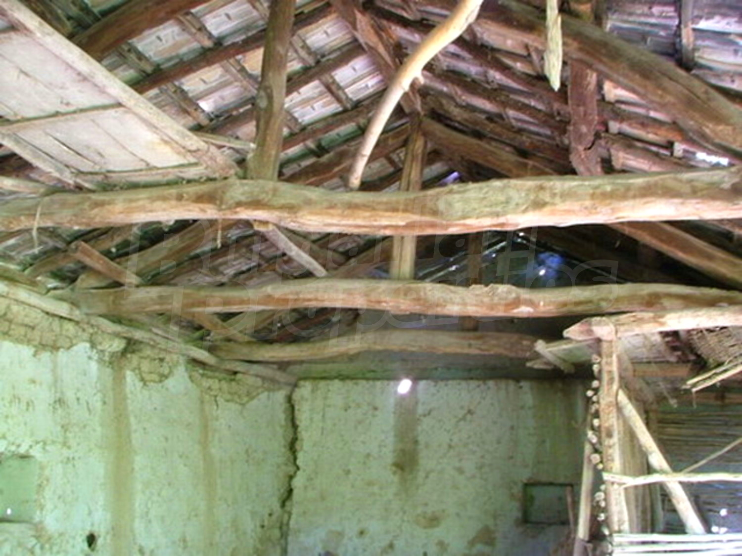 Gallery Picture 12