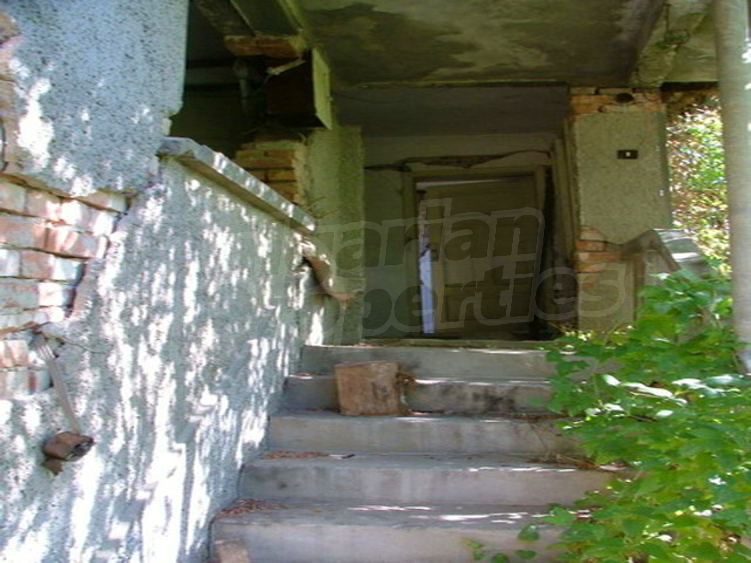 Gallery Picture 14