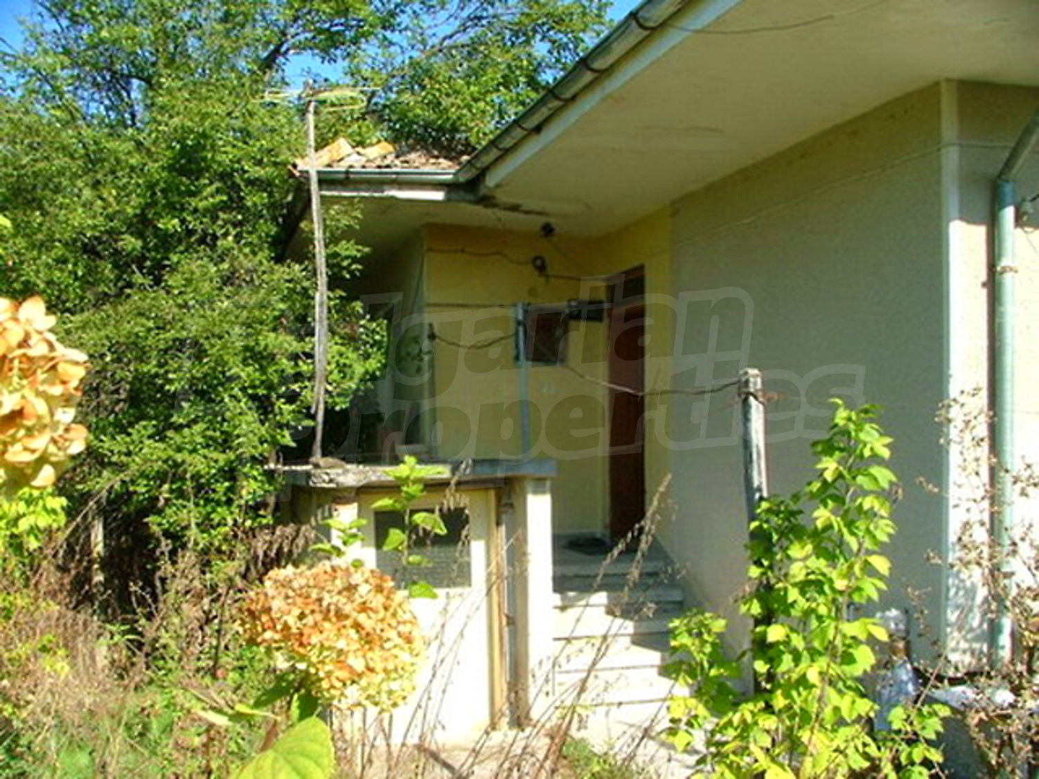 Gallery Picture 3