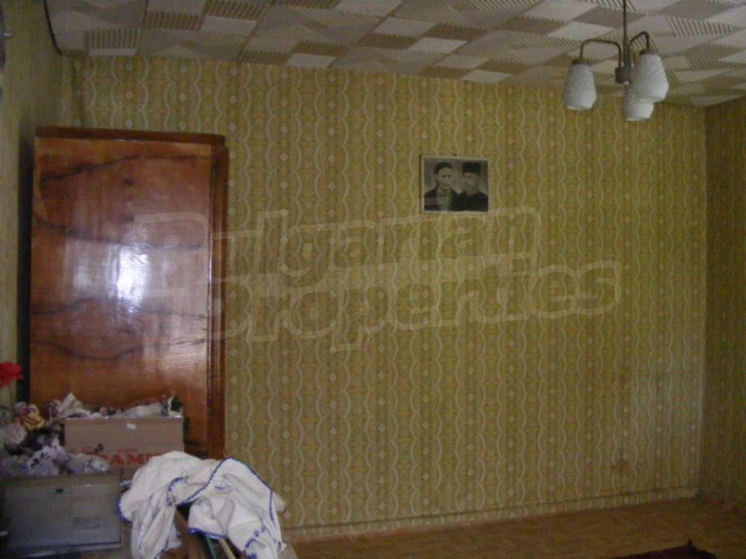 Gallery Picture 19