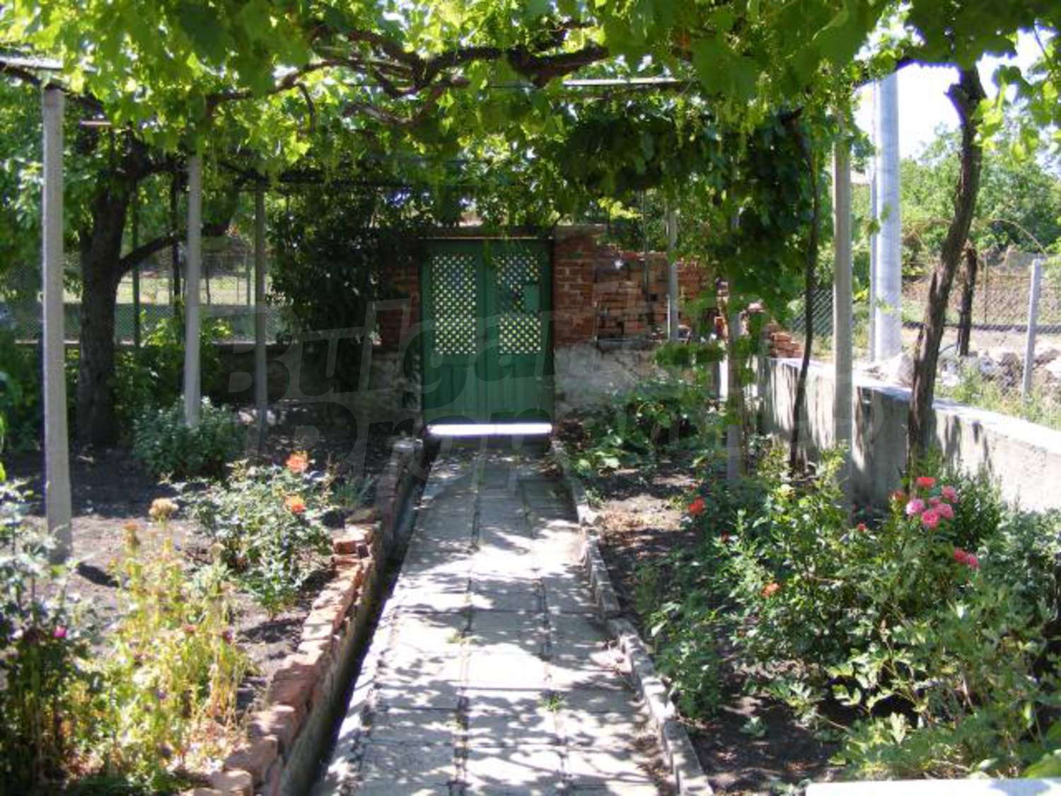 Gallery Picture 29