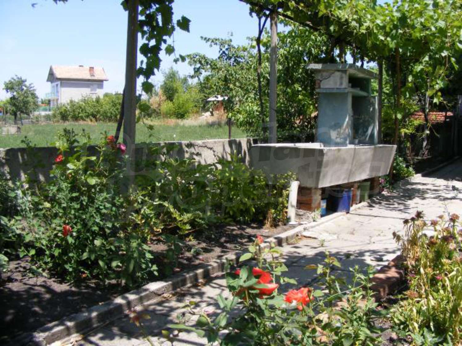 Gallery Picture 30