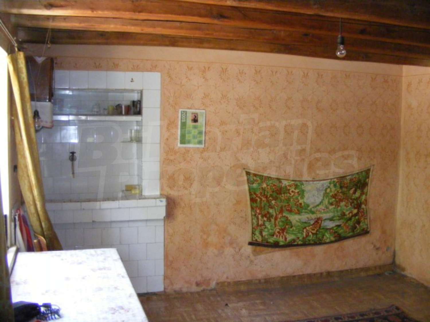 Gallery Picture 9