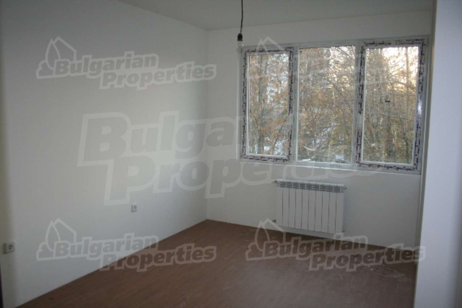 Gallery Picture 5