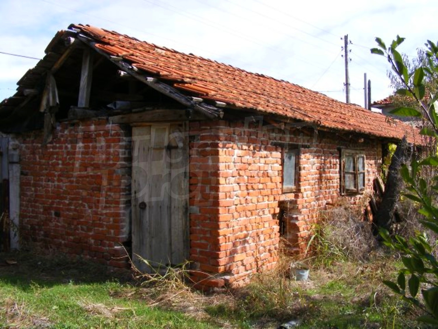 Gallery Picture 23