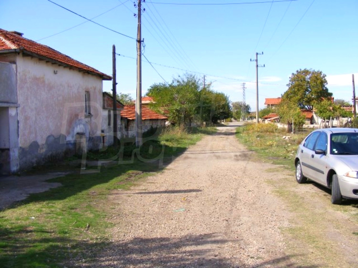 Gallery Picture 31
