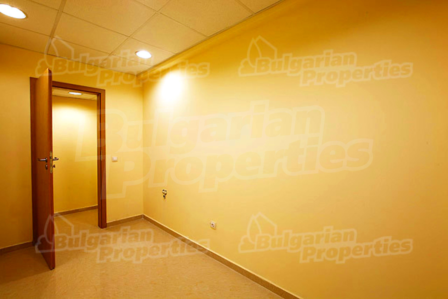 Gallery Picture 13