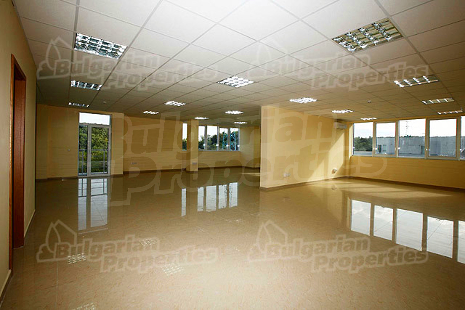 Gallery Picture 16