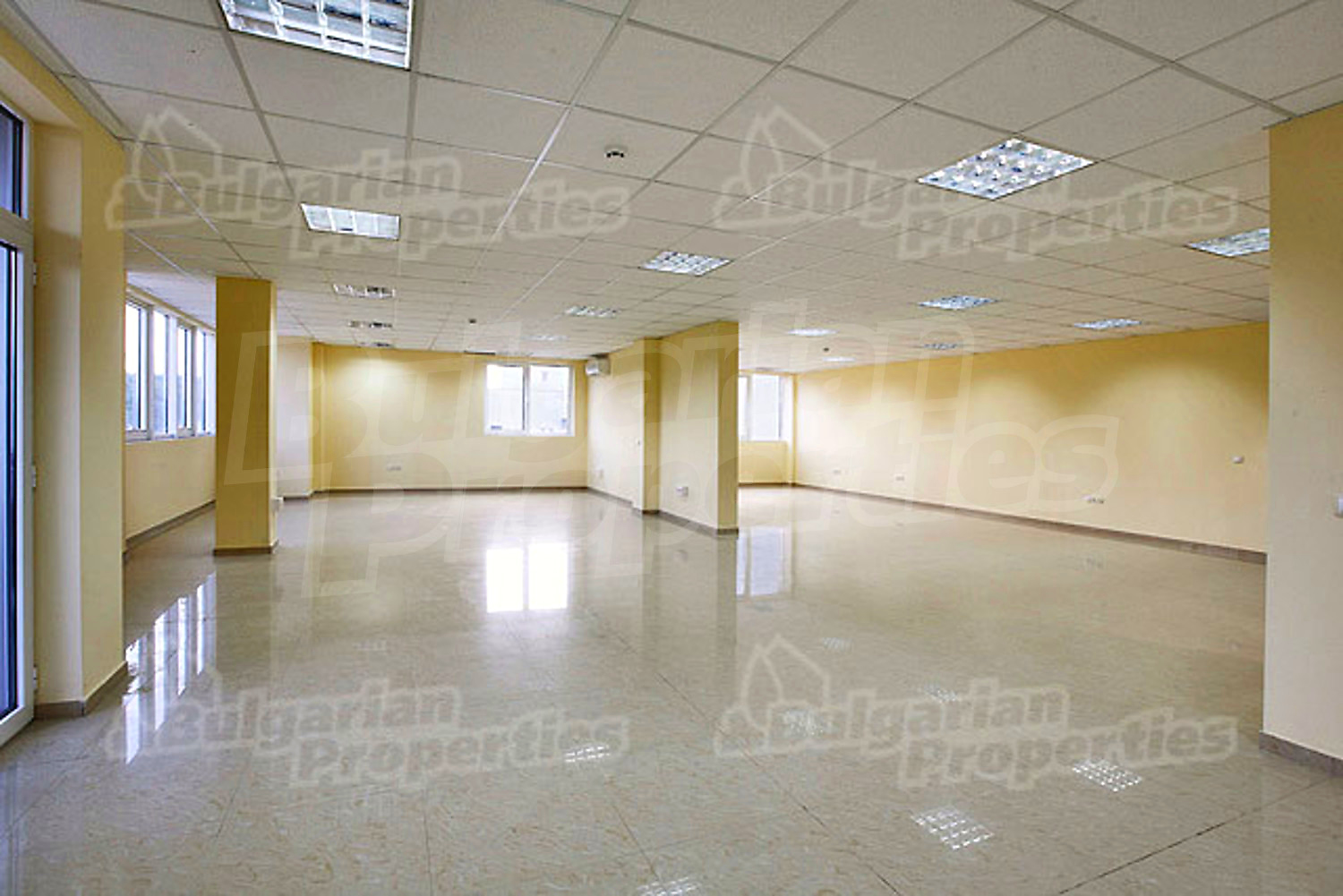 Gallery Picture 17