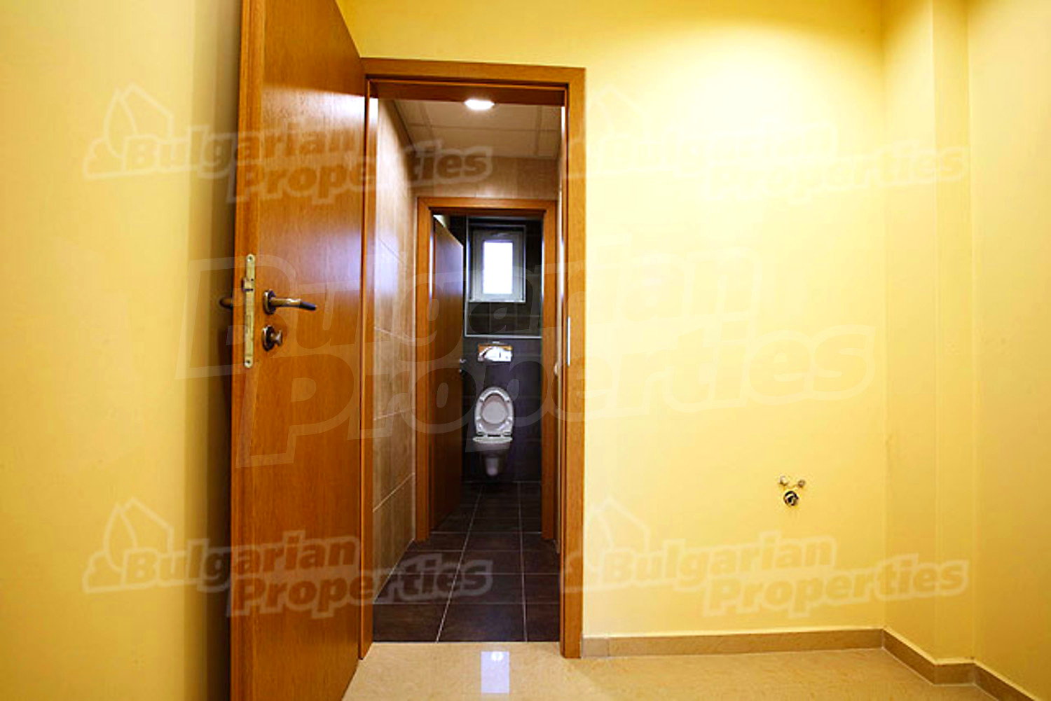 Gallery Picture 19