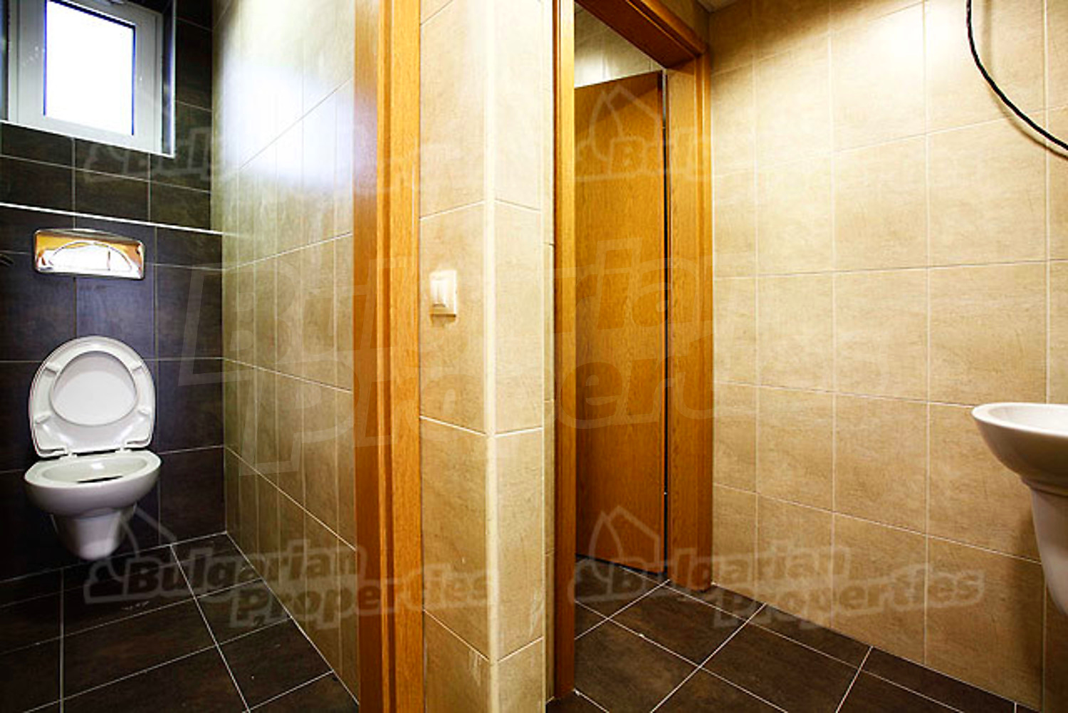 Gallery Picture 20
