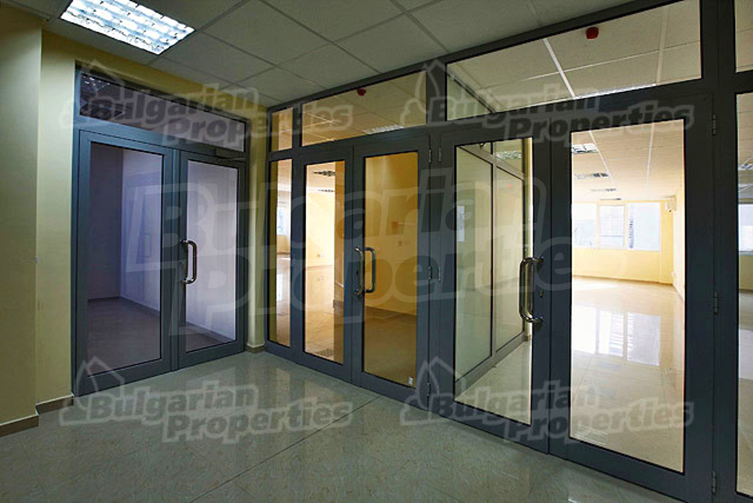 Gallery Picture 6