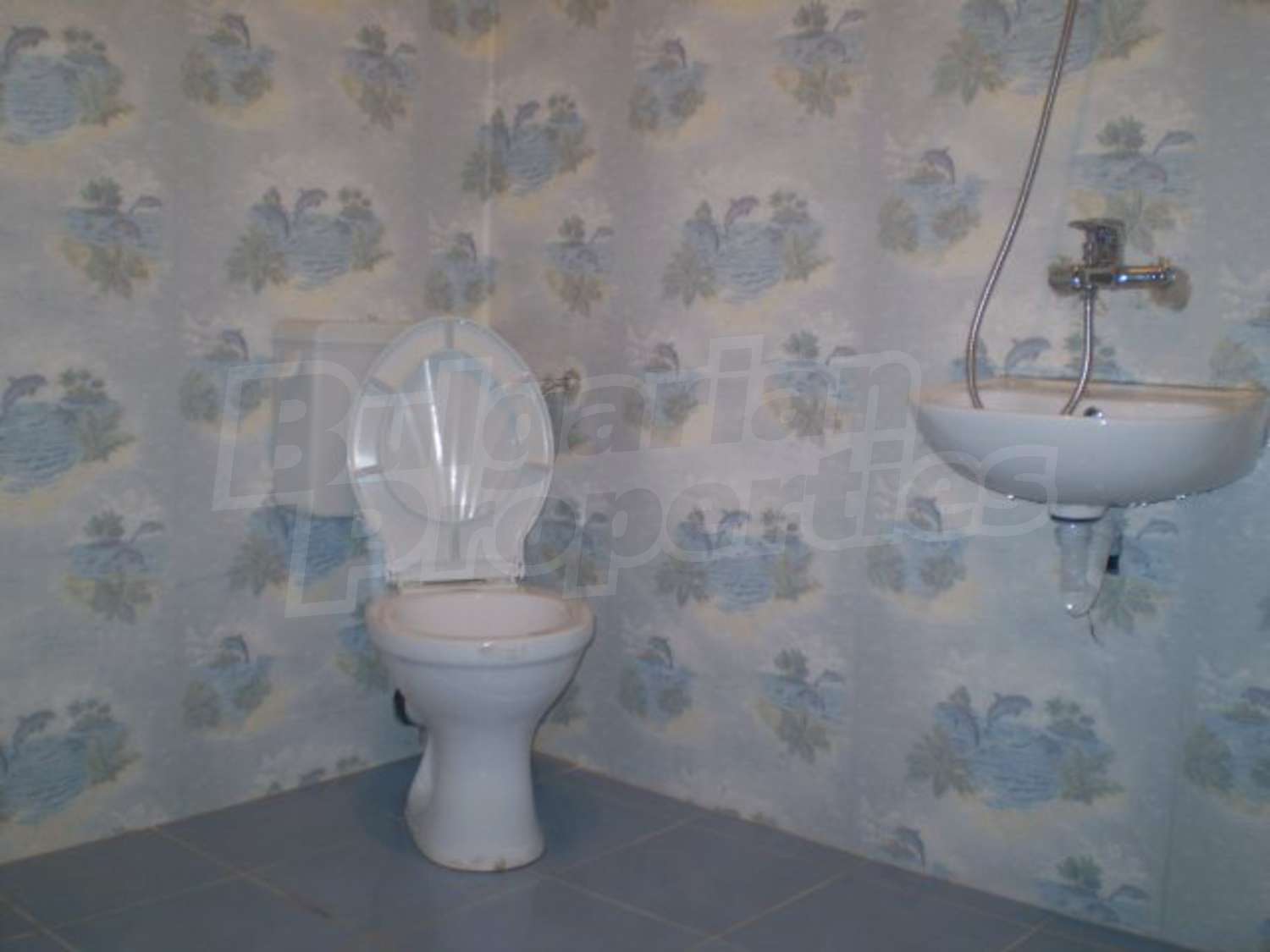 Gallery Picture 10