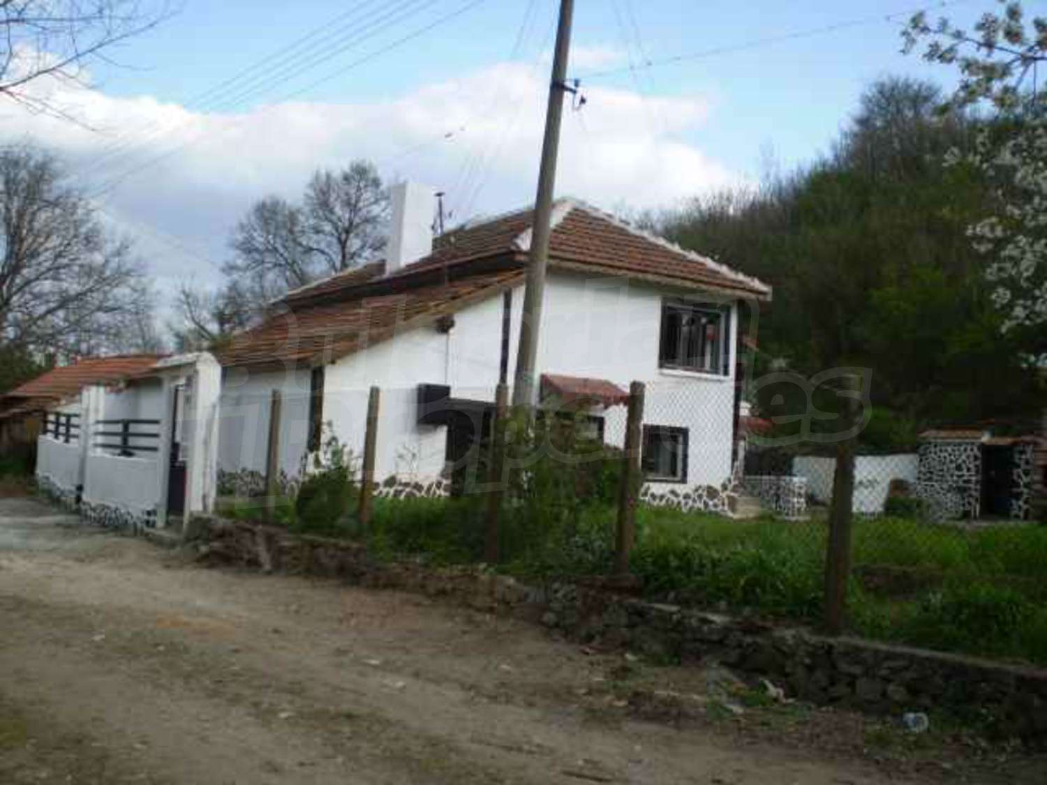 Gallery Picture 15