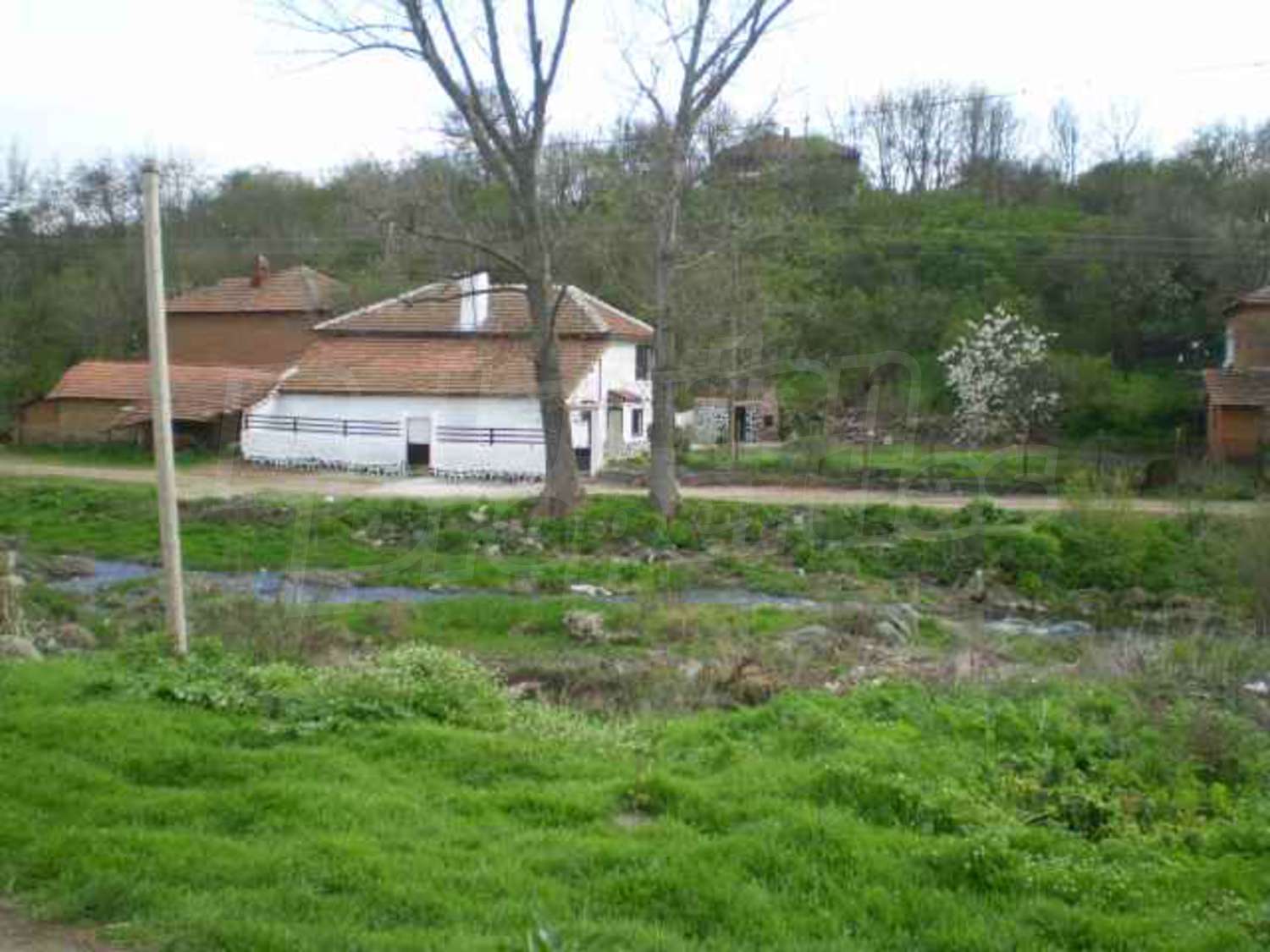 Gallery Picture 19