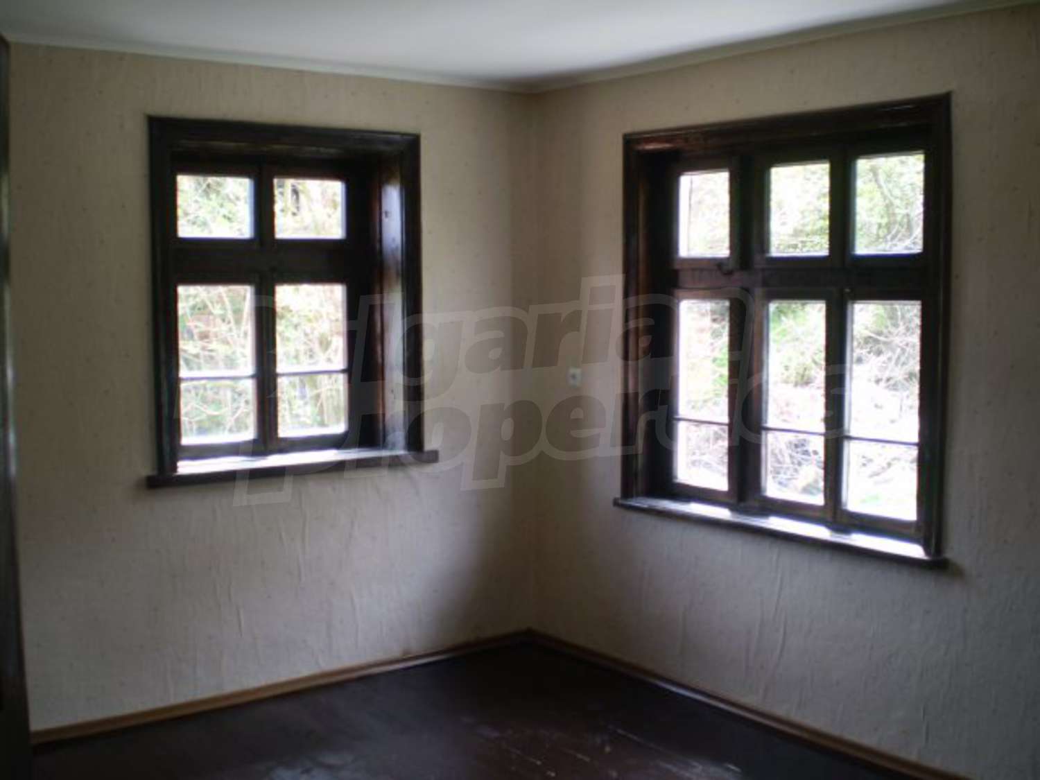 Gallery Picture 5