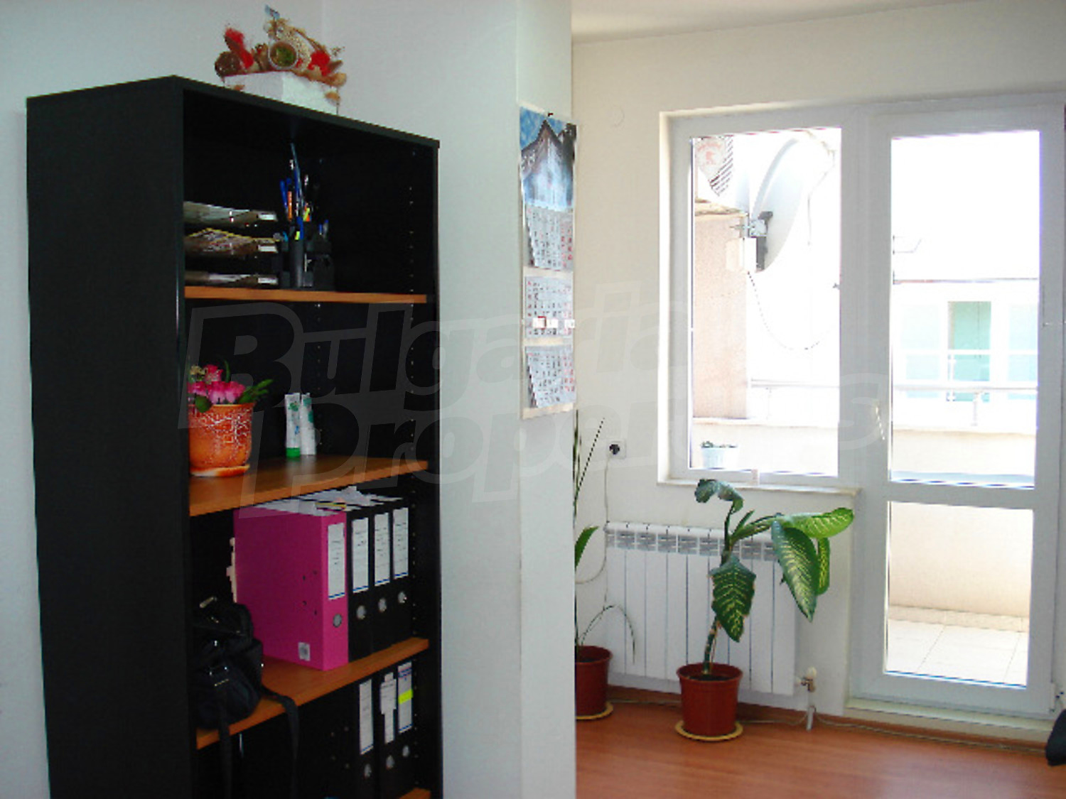 Gallery Picture 14