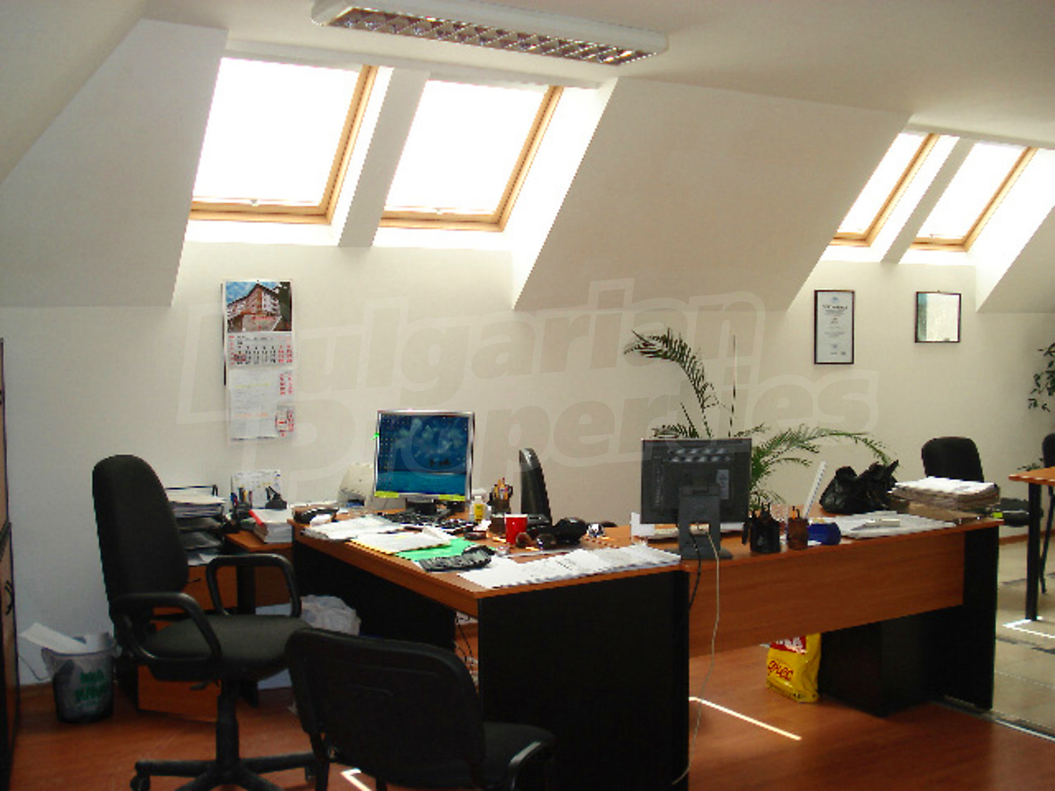Gallery Picture 6
