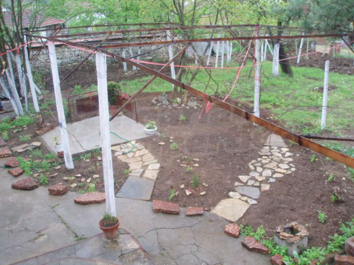 Gallery Picture 18